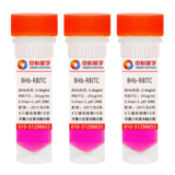 牛血紅蛋白（BHb）-RBITC