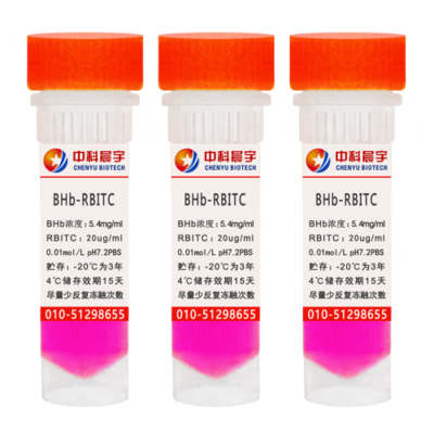 牛血紅蛋白（BHb）-RBITC