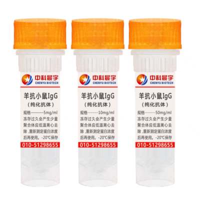 羊抗小鼠IgG（纯化抗体）