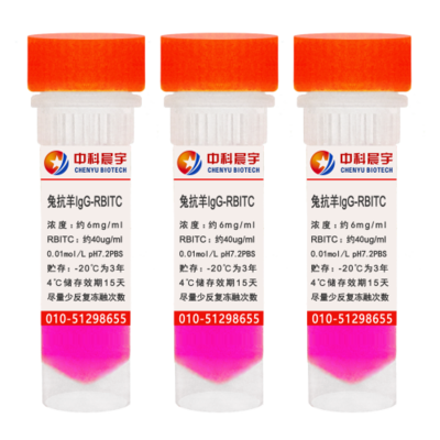 兔抗羊IgG-RBITC
