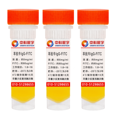 羊抗牛IgG-FITC