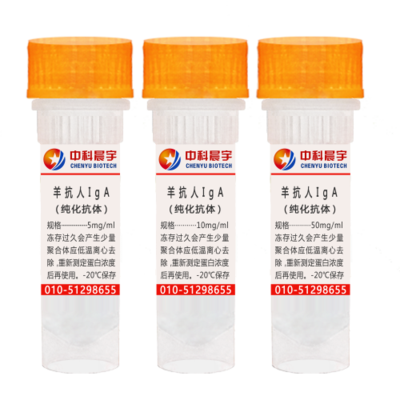 羊抗人IgA（α链特异）纯化抗体